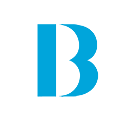 BBD ICON SMALL